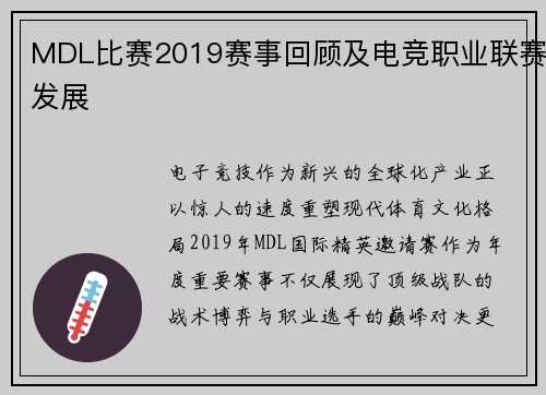 MDL比赛2019赛事回顾及电竞职业联赛发展